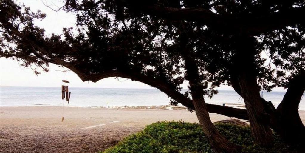 Marina Beach House 拉多斯 外观 照片